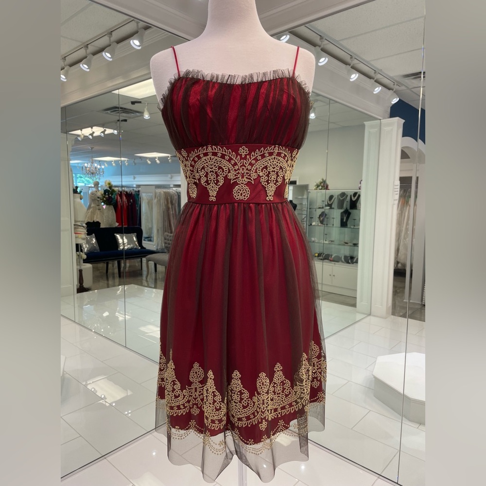 Giosue Red/Brown Short Party Dress Size Small